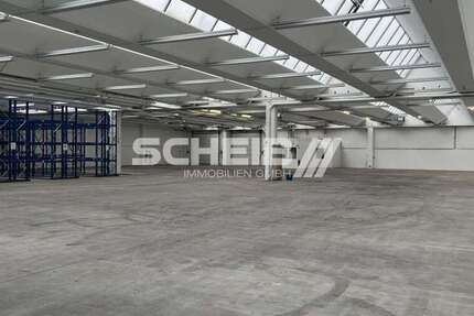 Halle in Kupferzell 12.793,50 € 2710 m² zimmer