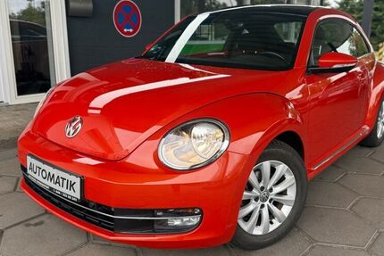 VW Beetle