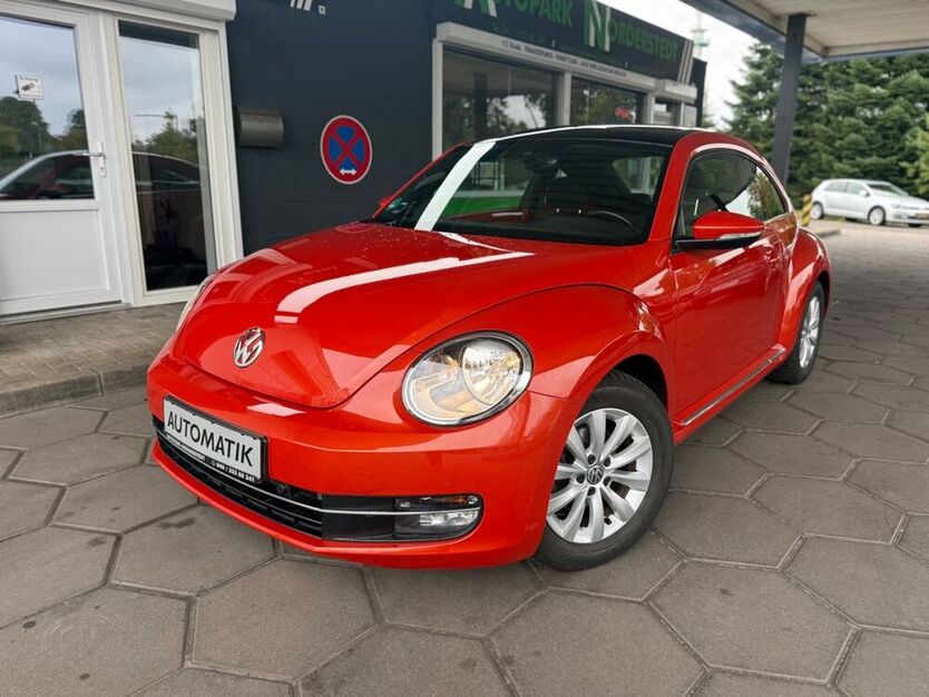 Beetle