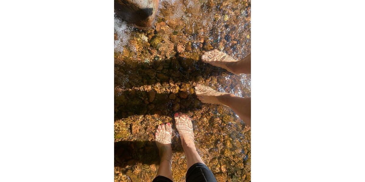 6 Zimmer pure Möglichkeiten in Naturlage - Eberbach im Odenwald 6 zimmer