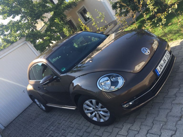 Beetle