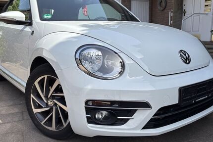 VW Beetle 39.123 km 16.000 &euro; Waltrop 45731