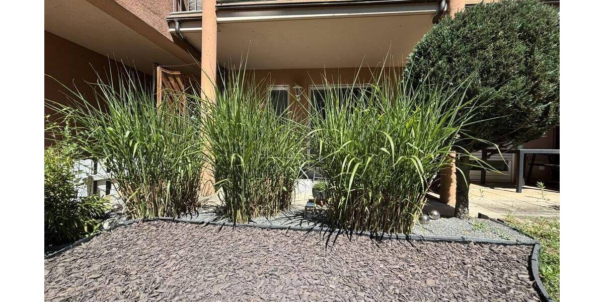 Etagenwohnung Bamberg Bamberg-Ost - 2 Zimmer, 58 m&sup2;, 215.000&euro; | Angebot:26833933