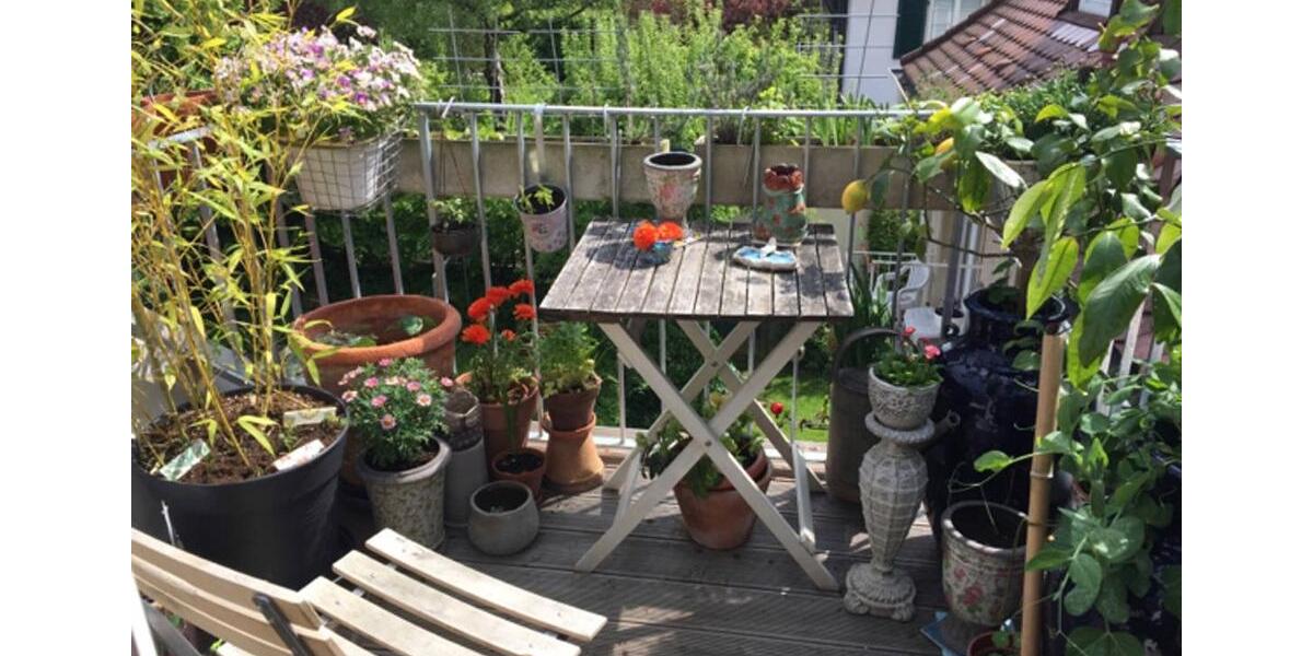 Dachgeschoßwohnung Freiburg im Breisgau Günterstal - 1.5 Zimmer, 25 m&sup2;, 860&euro; | Angebot:24417079