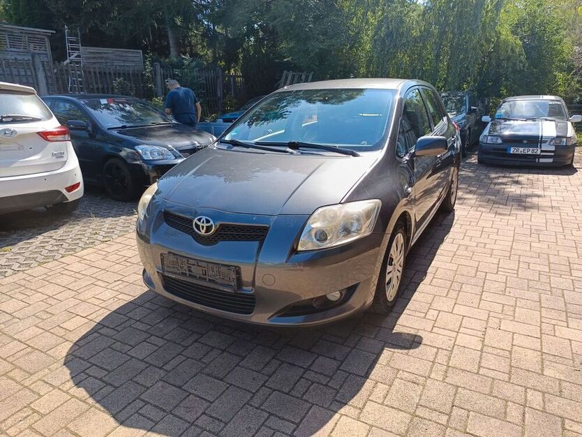 Auris