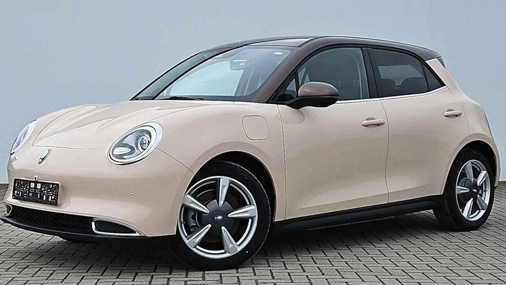 GWM Ora 03 7.990 km 22.970 € Neuensalz 08541