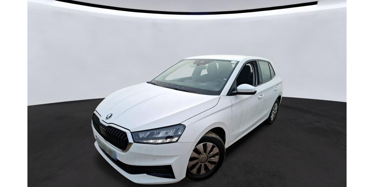 Skoda Fabia 43.866 km 11.690 &euro; Hagen 58091