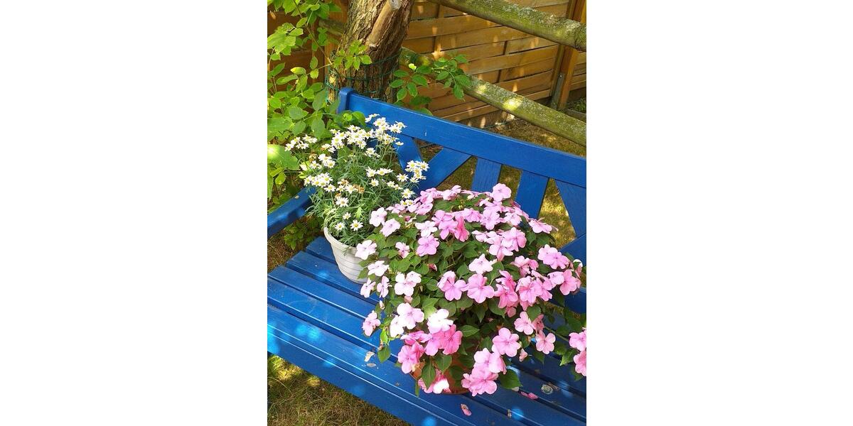 Dachgeschoßwohnung Braunschweig Südstadt- Rautheim- Mascherode - 3 Zimmer, 74 m&sup2;, 600&euro; | Angebot:26399675