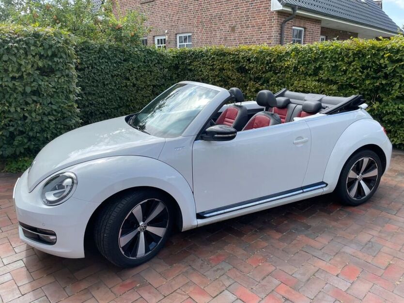 Beetle
