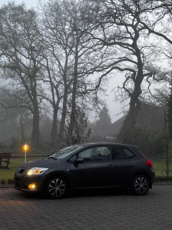 Auris
