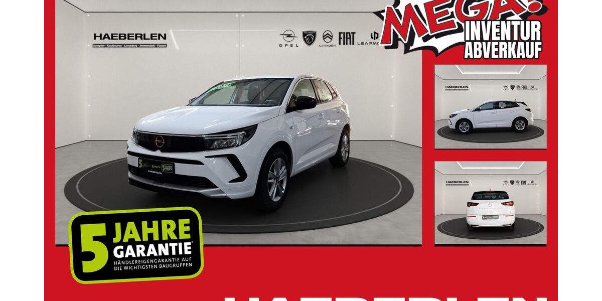 Opel Grandland (X) 18.100 km 19.850 &euro; Kempten 87435