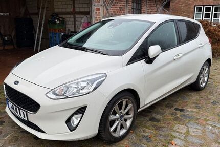 Ford Fiesta 101.436 km 8.500 &euro; Oersberg 24407