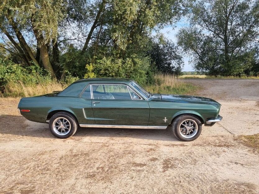 Mustang