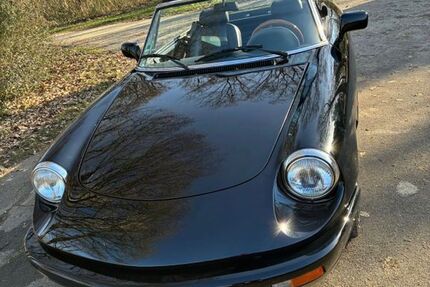 Alfa Romeo Spider 82.000 km 19.900 &euro; Fellbach 70736