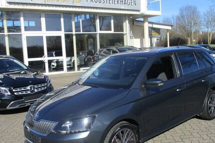 Skoda Fabia 97.260 km 10.690 &euro; Probsteierhagen bei Kiel 24253