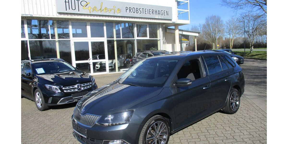 Skoda Fabia 97.260 km 10.690 &euro; Probsteierhagen bei Kiel 24253