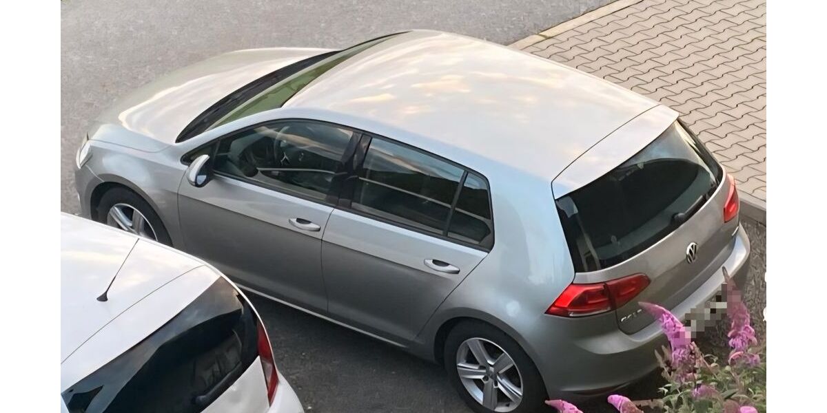 VW Golf 65.000 km 9.000 &euro; Lam 93462