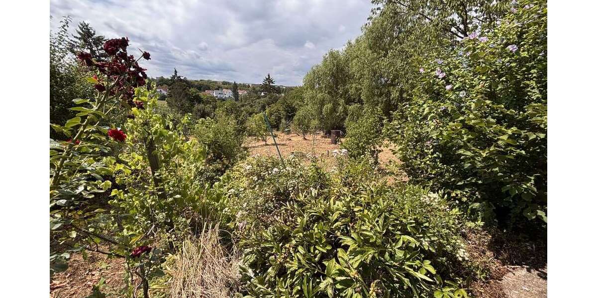 Grundstück Wiesbaden Dotzheim - 80.000&euro; | Angebot:27086660