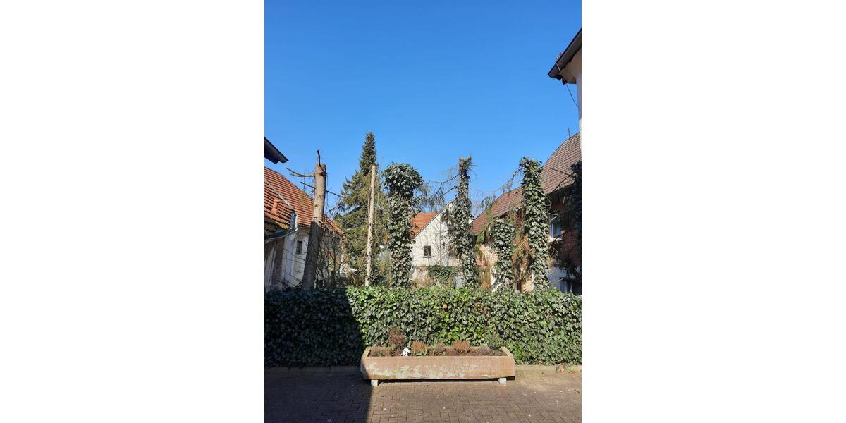 Mehrfamilienhaus, Wohnhaus Bad Driburg - 6 Zimmer, 280 m&sup2;, 75.000&euro; | Angebot:26939959