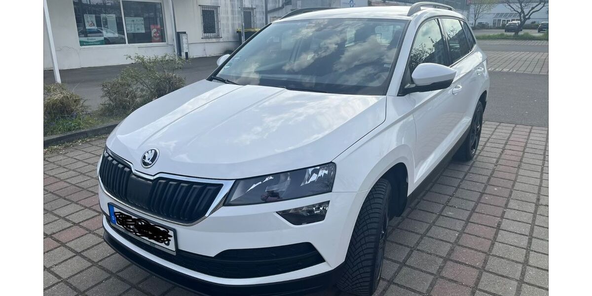 Skoda Karoq 194.000 km 11.000 &euro; Lostau 39291