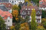 Etagenwohnung Bad Homburg vor der Höhe Kirdorf - 2 Zimmer, 76 m&sup2;, 1.200&euro; | Angebot:25691047