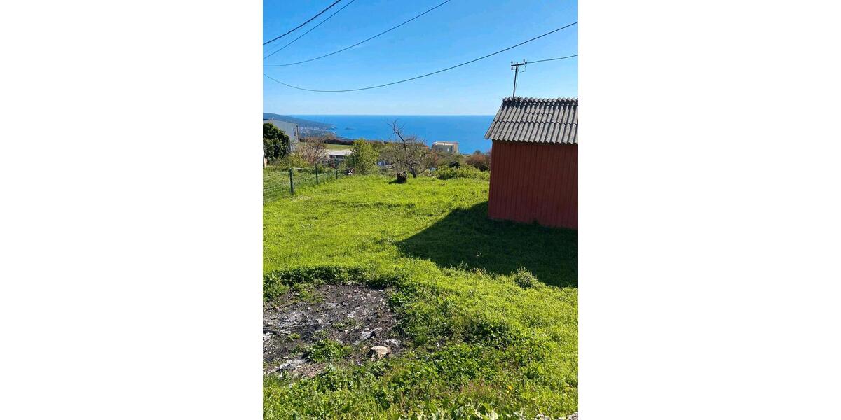 Einfamilienhaus Dresden Neustadt - 50.000&euro; | Angebot:26337572