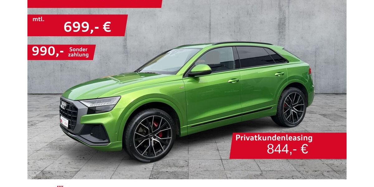 Audi Q8 119.587 km 56.550 &euro; Hof 95030