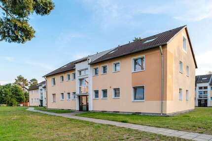 Wohnung zum Mieten in Celle 629 € 80.97 m² 4 zimmer
