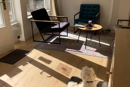 Gewerbeobjekt Michelstadt - 300&euro; | Angebot:25416184