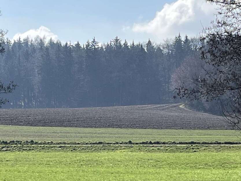 Grundstück in Aindling Bach 240.000 € 22540 m² zimmer