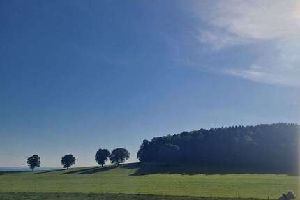 Wohnung zum Kaufen in Dürrröhrsdorf-Dittersbach 49.900 € 56 m² 2 zimmer