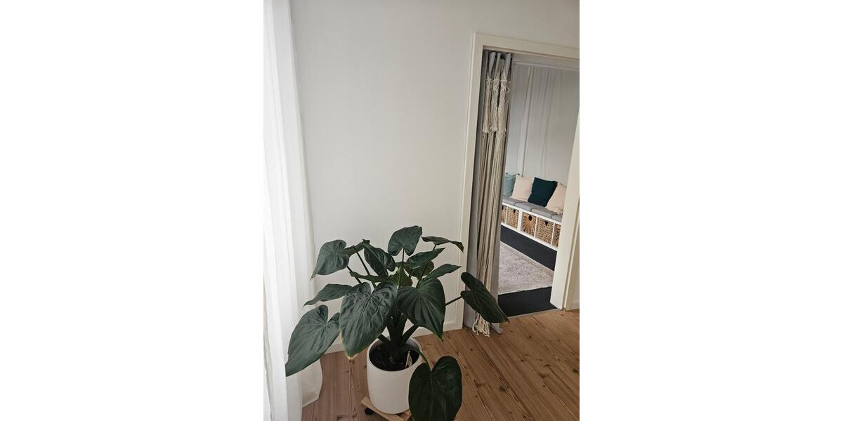 Gewerbeobjekt Ditzingen - 45&euro; | Angebot:26592767