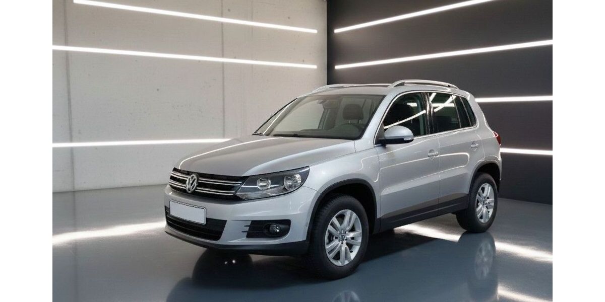 VW Tiguan 49.900 km 14.490 &euro; Frankenthal 67227
