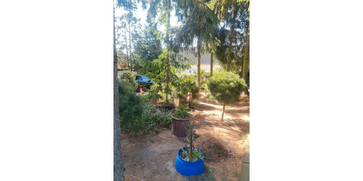Einfamilienhaus Dommitzsch - 8 Zimmer, 100 m&sup2;, 80.000&euro; | Angebot:27128125