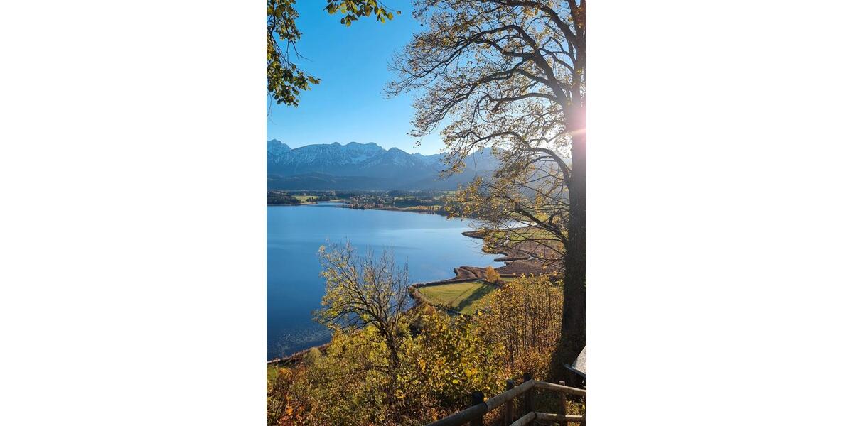 Terrassenwohnung Füssen - 2 Zimmer, 25 m&sup2;, 650&euro; | Angebot:26395884