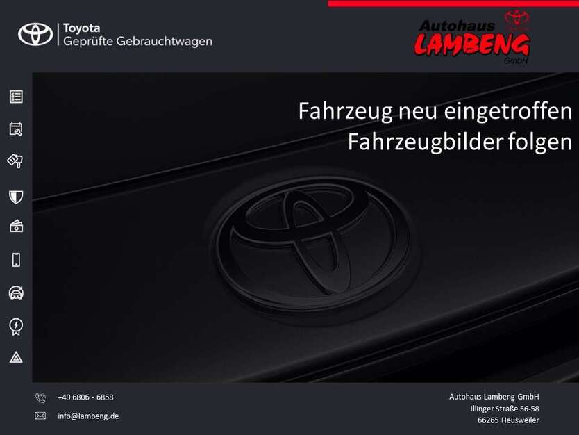 Auris