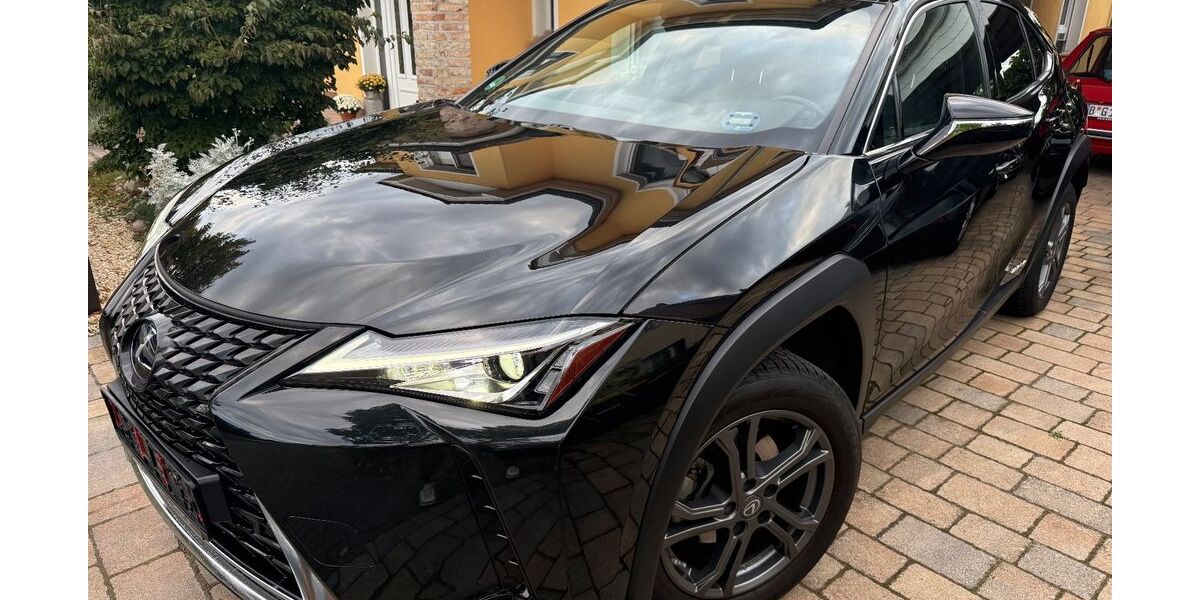 Lexus UX 39.000 km 24.999 &euro; Falkensee 14612
