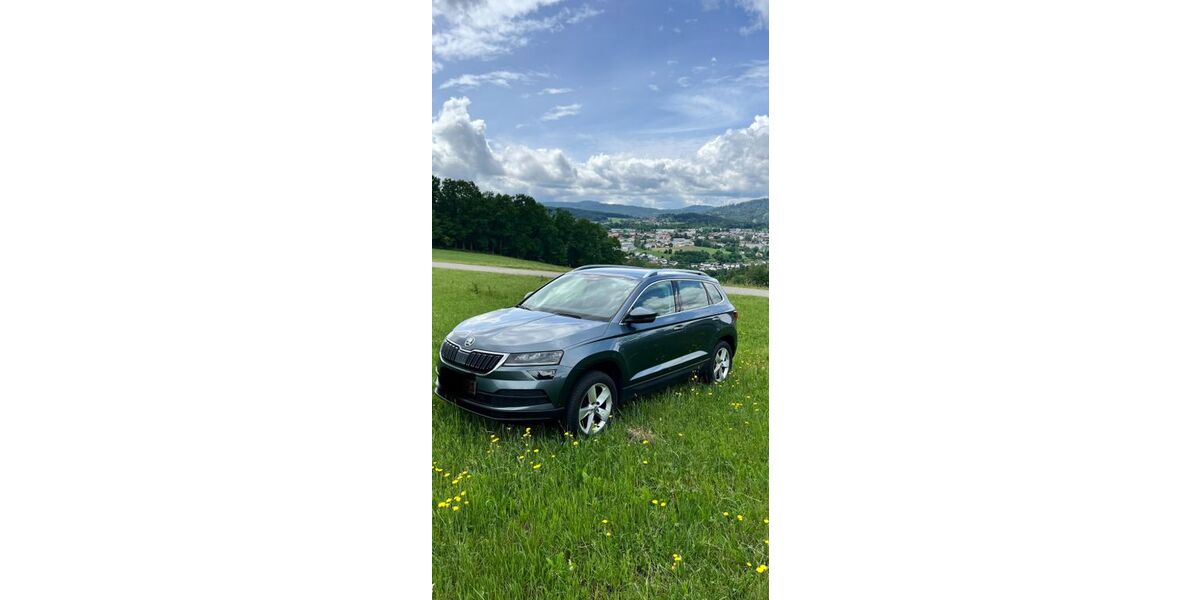 Skoda Karoq 153.000 km 15.600 &euro; Viechtach 94234