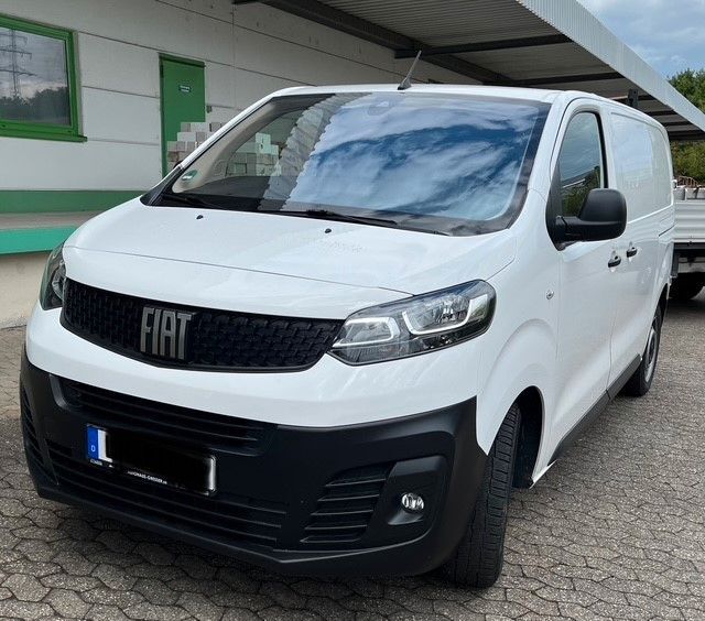 Scudo