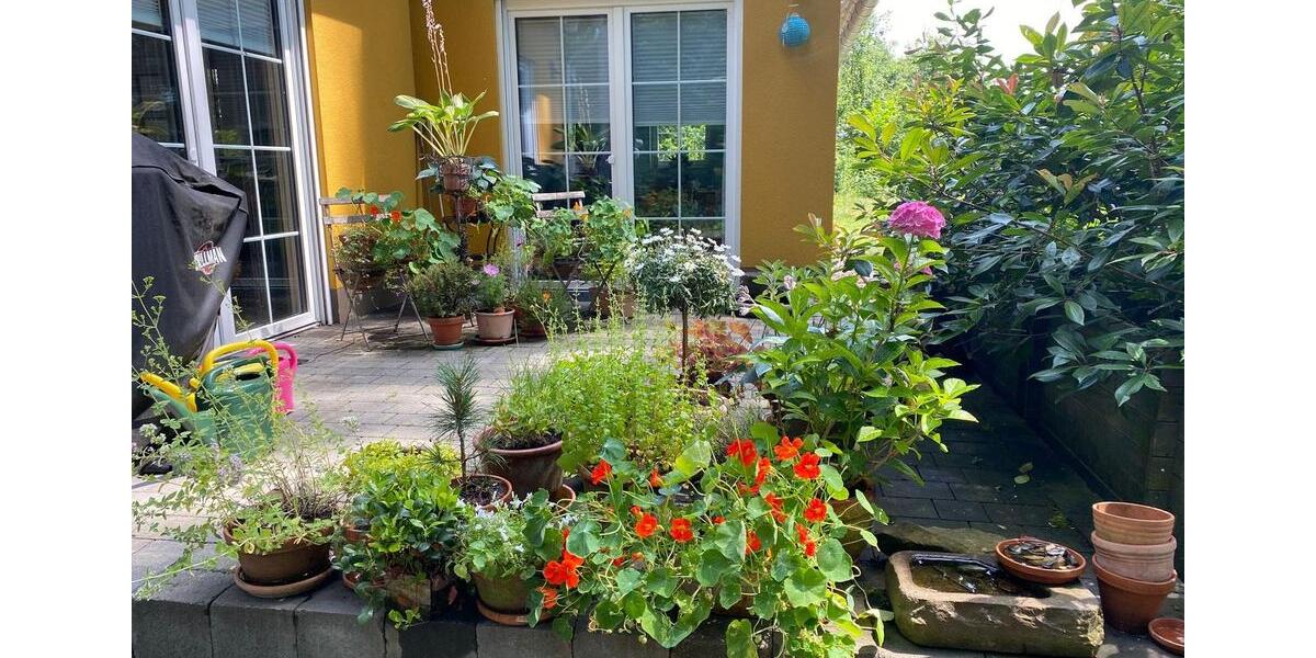 Einfamilienhaus Much - 3 Zimmer, 100 m&sup2;, 1.250&euro; | Angebot:26337718