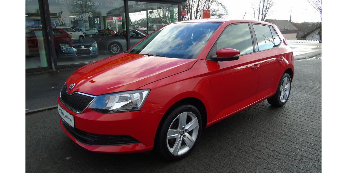 Skoda Fabia 66.000 km 7.999 &euro; Ransbach-Baumbach 56235