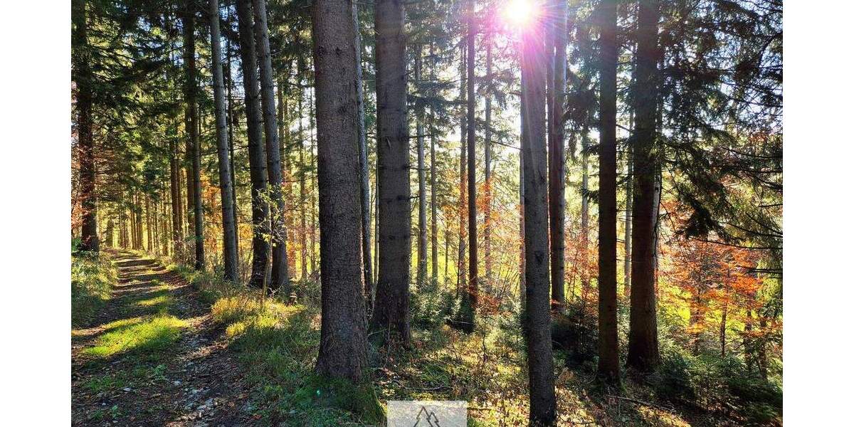 Grundstück Eggenthal Völken - 84.900&euro; | Angebot:25689866