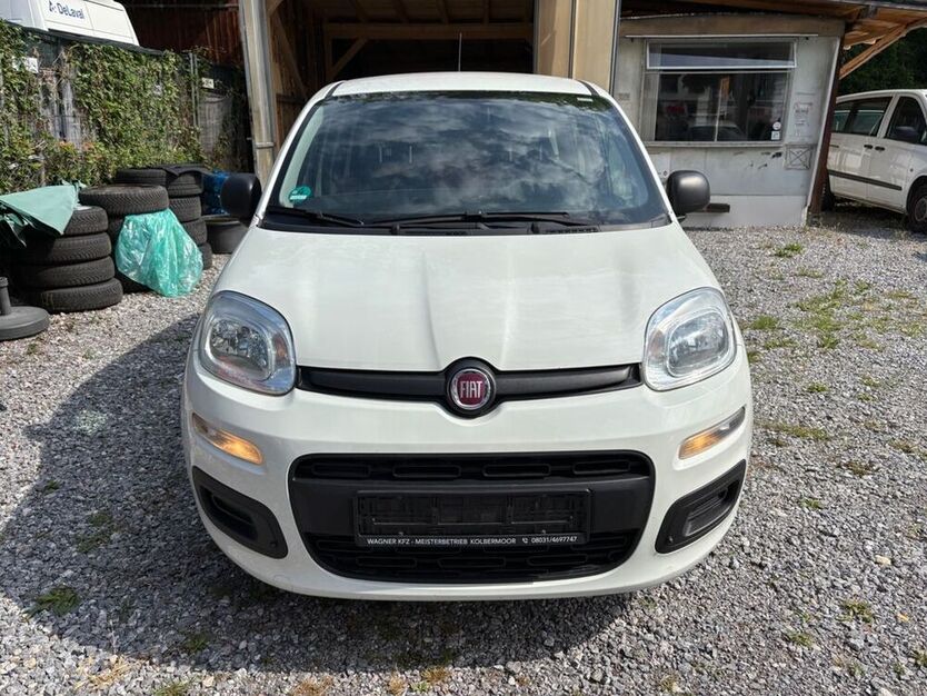 Panda
