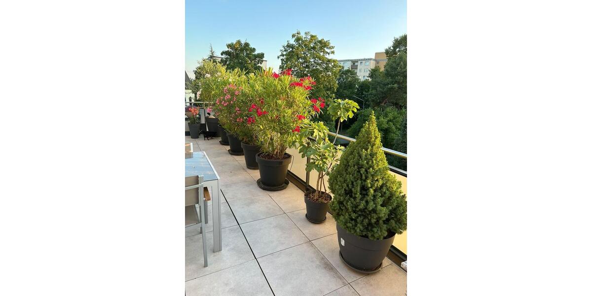 Einfamilienhaus Maintal - 4 Zimmer, 106 m&sup2;, 1.620&euro; | Angebot:25158266