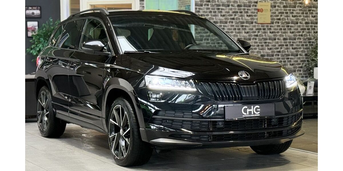Skoda Karoq 113.600 km 23.490 &euro; Balingen 72336