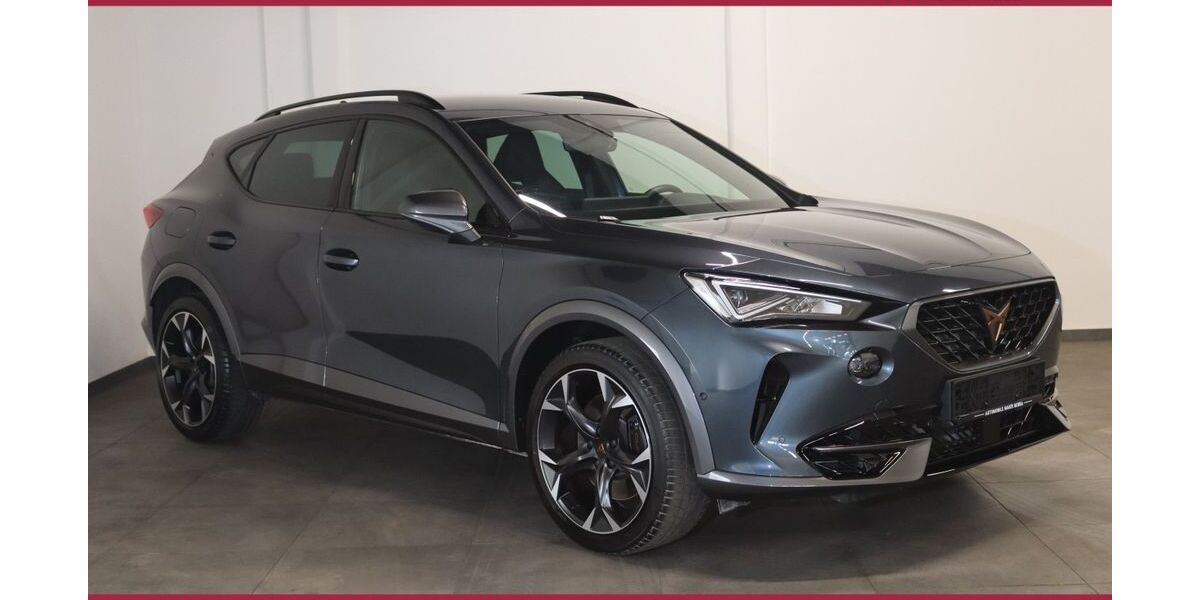 Cupra Formentor 16.300 km 29.700 &euro; Bebra 36179