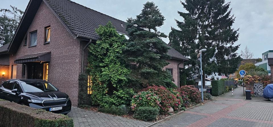 In sehr schöner Lage sanierte Souterrainwohnung zu vermieten zimmer