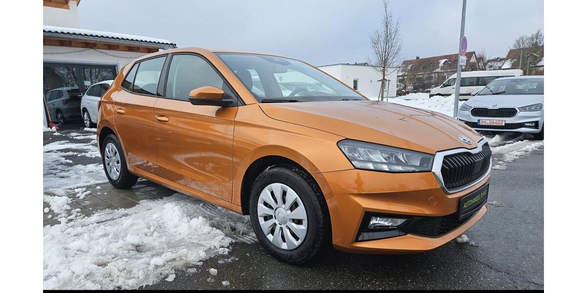 Skoda Fabia 5.200 km 16.290 &euro; Flachslanden 91604