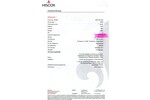 Fiat 600 4.770 km 30.000 € Gundelsheim 74831