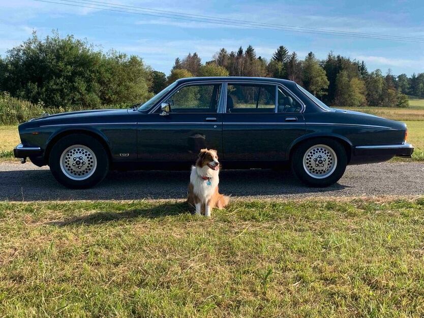 Daimler
